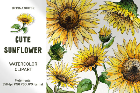 Download SUNFLOWER - Premium Resources