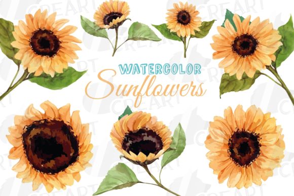 Download Sunflower Watercolor Decoration Clip Art - Premium Resources