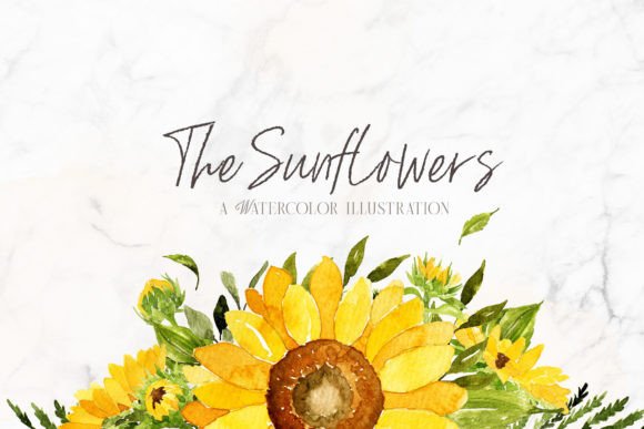 Download Sunflowers Watercolor Illustrations - Premium Resources