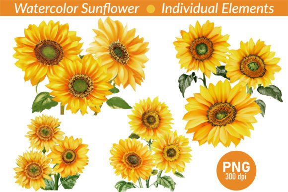 Download Watercolor Realistic Sunflower Clipart - Flower clipart Collection