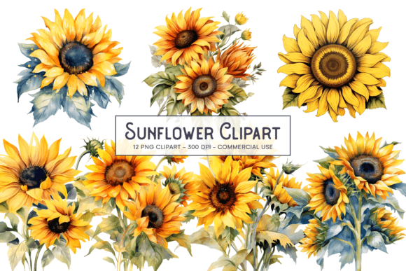 Download Sunflower Bouquet PNG Clipart - Premium Resources